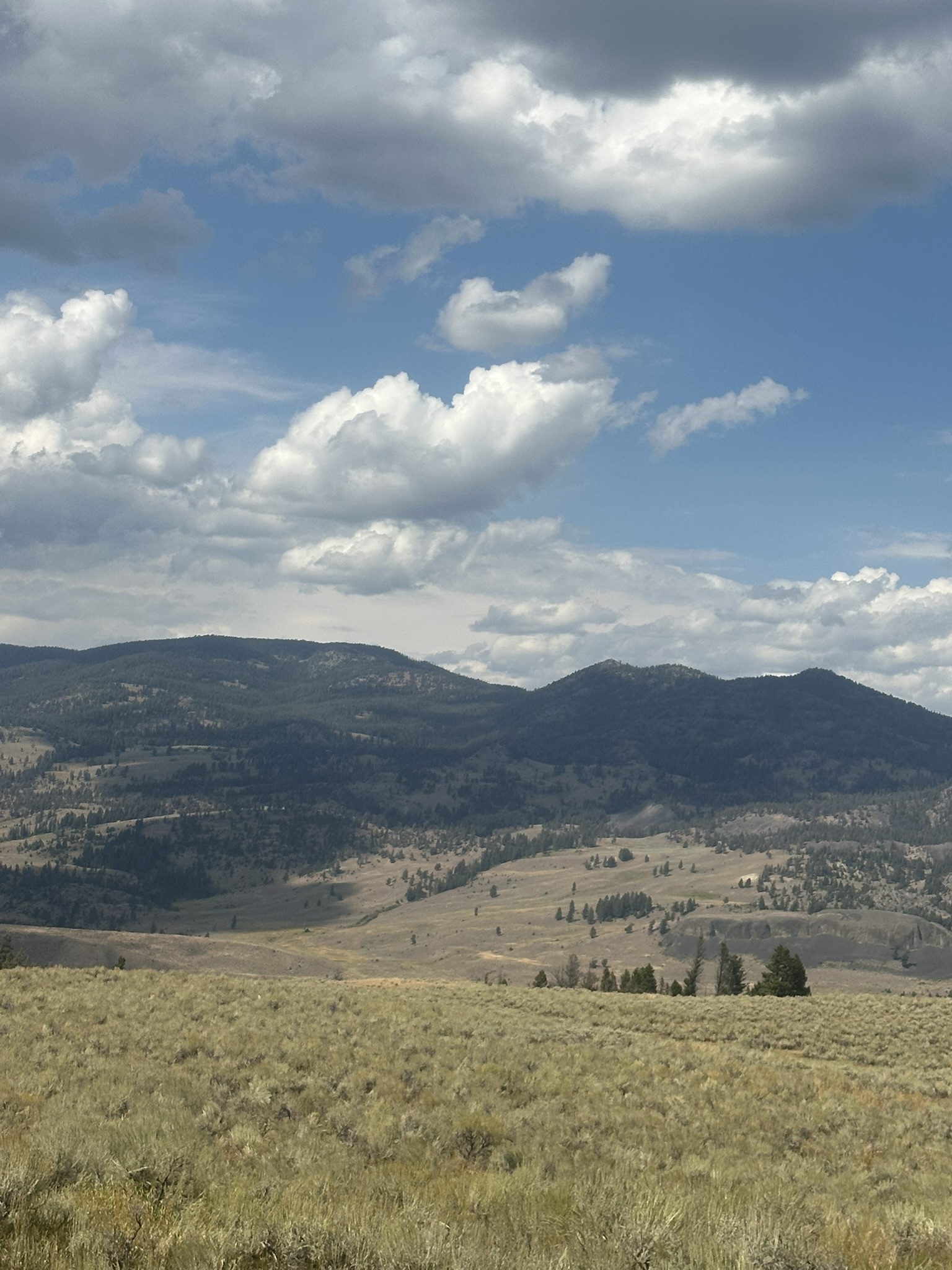 Yellowstone And Grand Teton National Parks - Image 769